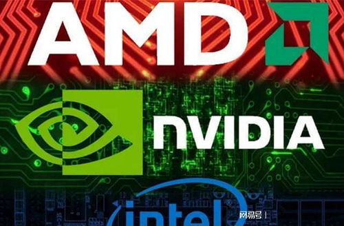 国产芯片进入调整期 人民日报发声，网络科技行业需放弃幻想