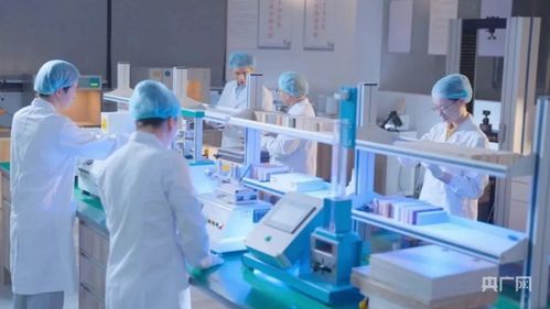 庐阳网科起宏图 一企开疆欧洲，点亮数字化丝绸之路