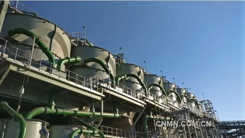 深化六个引领，建设一带一路精品工程——矿冶集团南非PMC浮选厂总承包项目建设纪实